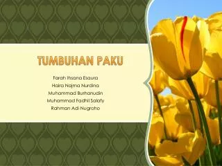 TUMBUHAN PAKU