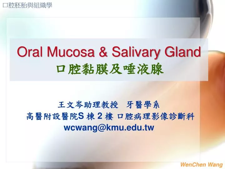 oral mucosa salivary gland