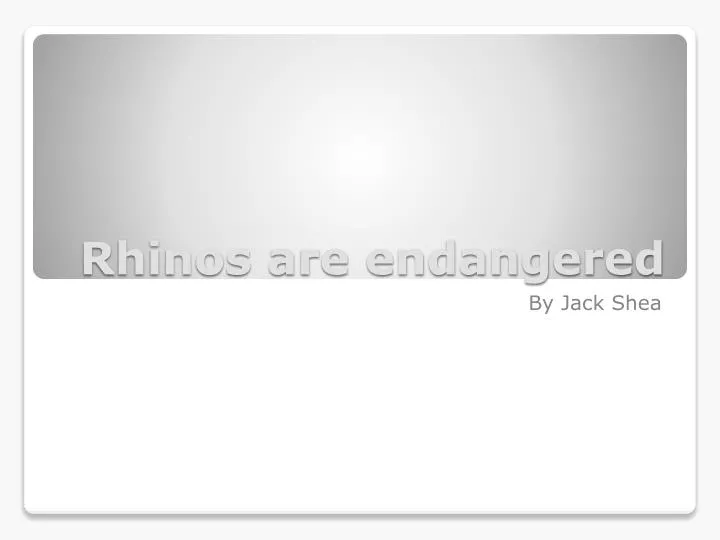 rhinos are endangered