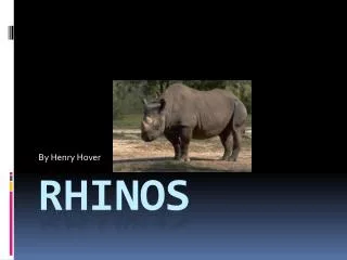 RHINOS