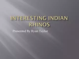 Interesting Indian rhinos