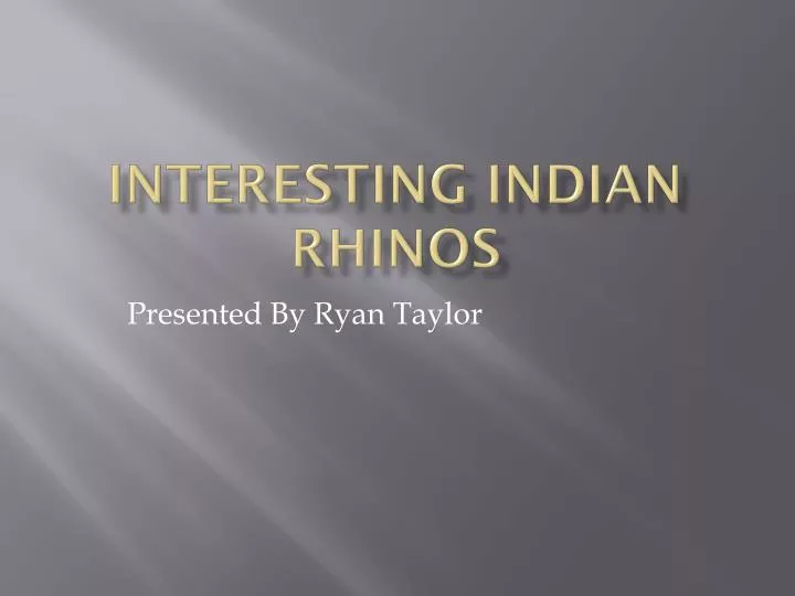 interesting indian rhinos