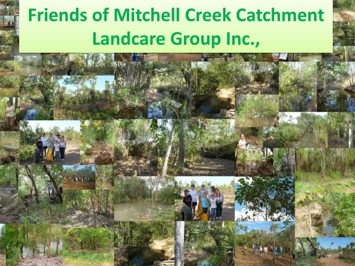 friends of mitchell creek catchment landcare group inc