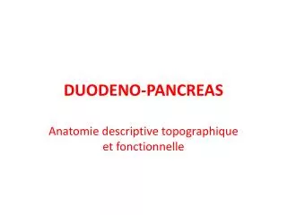 duodeno pancreas