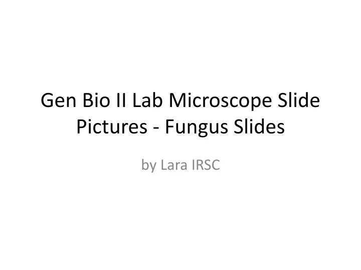 gen bio ii lab microscope slide pictures fungus slides