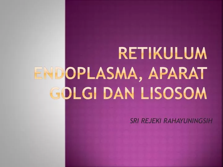retikulum endoplasma aparat golgi dan lisosom