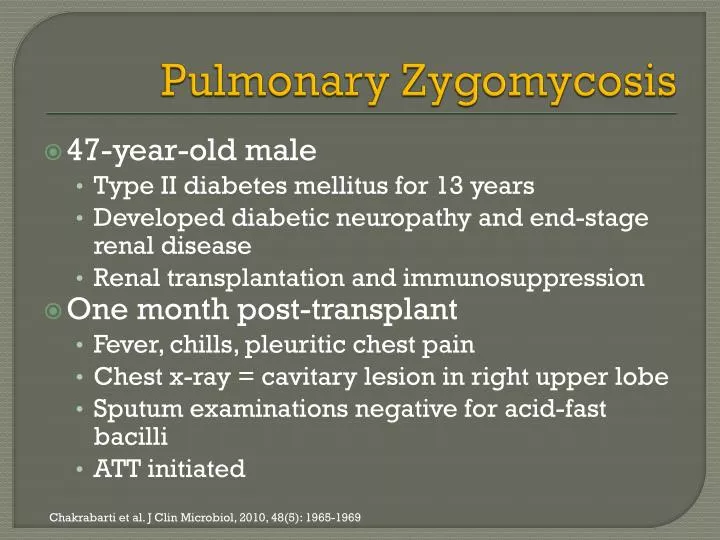 pulmonary zygomycosis