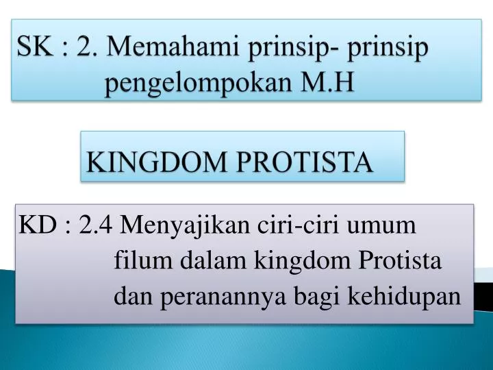 sk 2 memahami prinsip prinsip pengelompokan m h