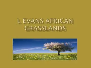 L Evans African grasslands