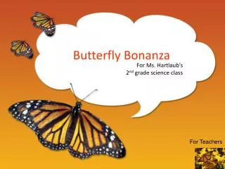 Butterfly Bonanza