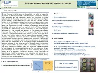 Multilevel analysis towards drought tolerance in Legumes