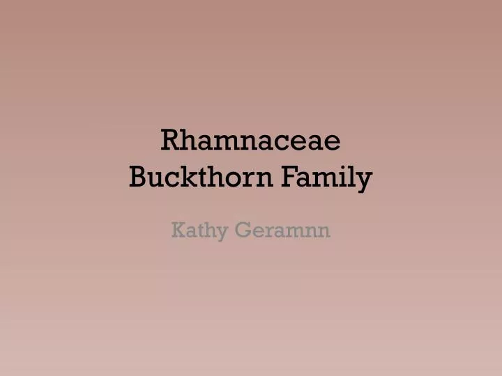 rhamnaceae buckthorn family