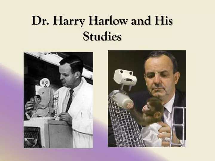 dr harry harlow and his studies