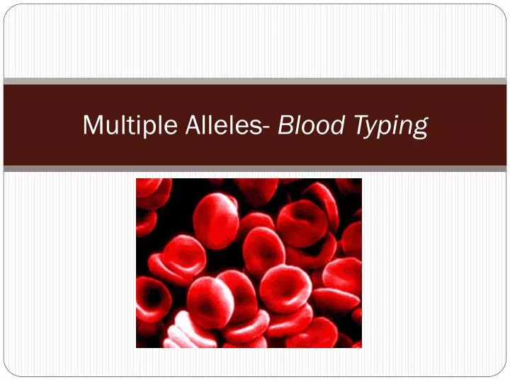 multiple alleles blood typing