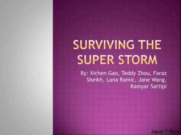 surviving the super storm