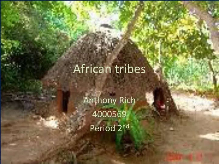 african tribes