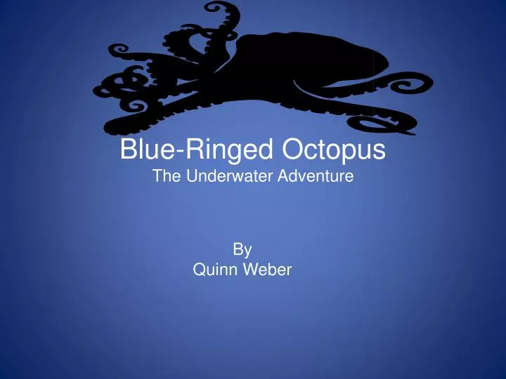 blue ringed octopus the underwater adventure