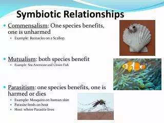 PPT - Symbiotic Relationships PowerPoint Presentation, Free Download ...