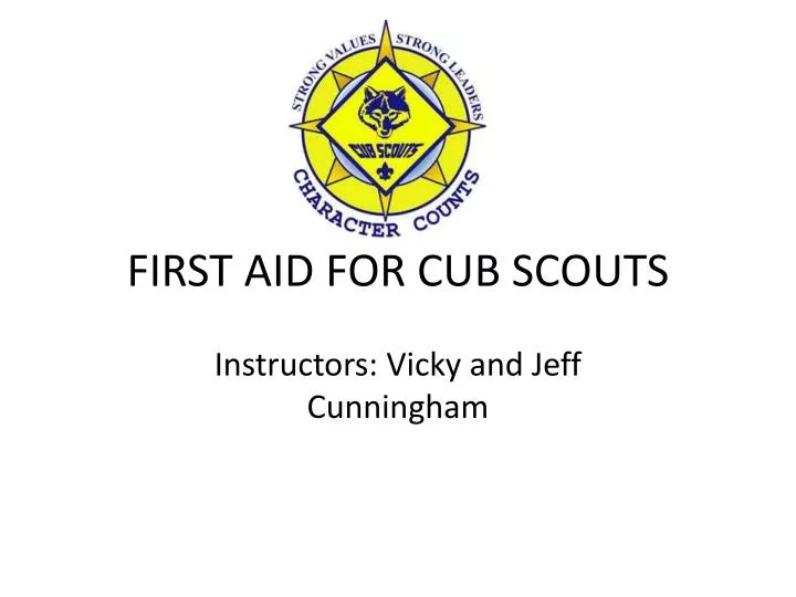 first aid for cub scouts
