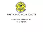 first aid presentation for boy scouts