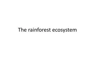 The rainforest ecosystem