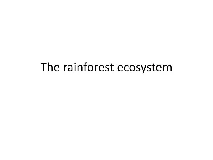 the rainforest ecosystem
