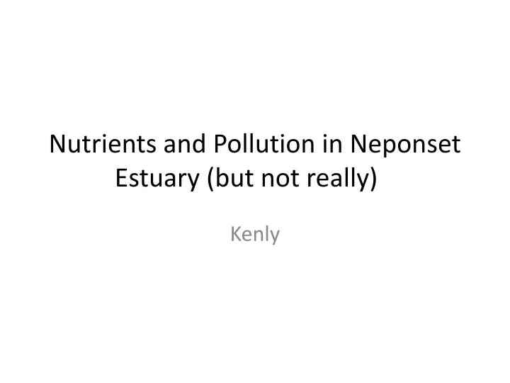 nutrients and pollution in neponset estuary but not really