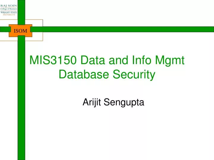 mis3150 data and in fo mgmt database security