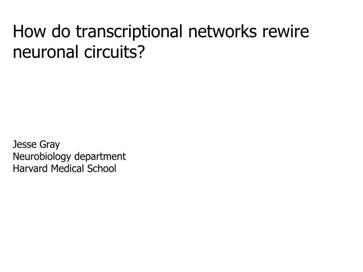 how do transcriptional networks rewire neuronal circuits