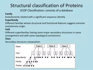 Structural classification of Proteins