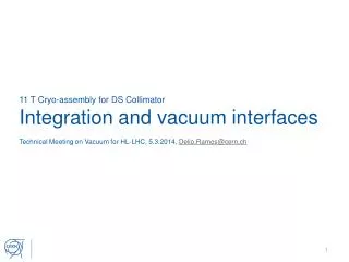 11 T Cryo-assembly for DS Collimator Integration and vacuum interfaces