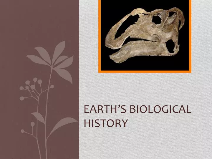 earth s biological history