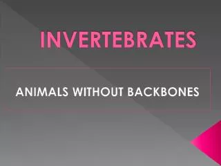 INVERTEBRATES