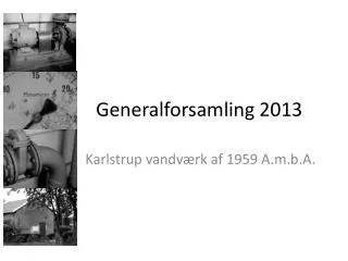 generalforsamling 2013