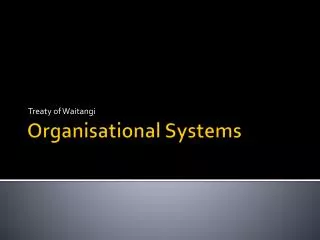 Organisational Systems
