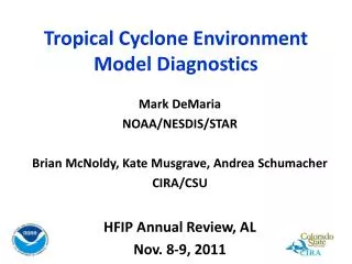 Tropical Cyclone Environment Model Diagnostics