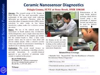Ceramic Nanosensor Diagnostics