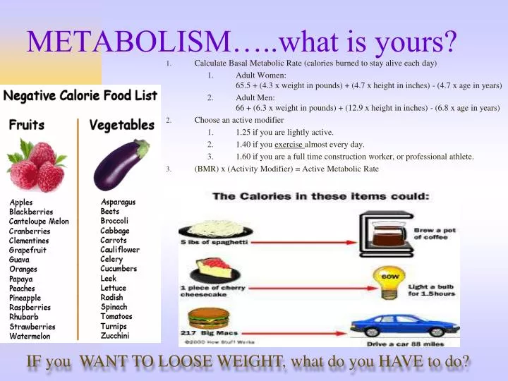 metabolism what is yours
