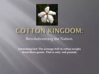 Cotton Kingdom: