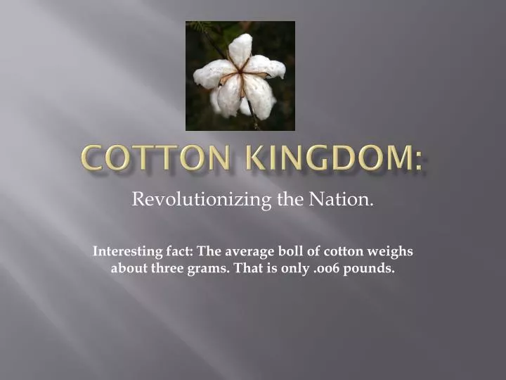 cotton kingdom