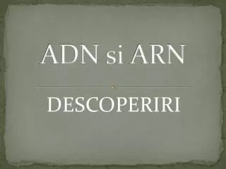adn si arn