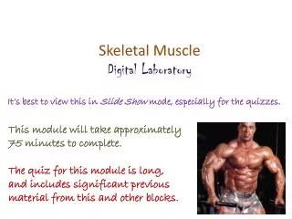 Skeletal Muscle Digital Laboratory