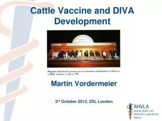 Cattle Vaccine and DIVA Development