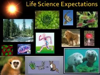 Life Science Expectations