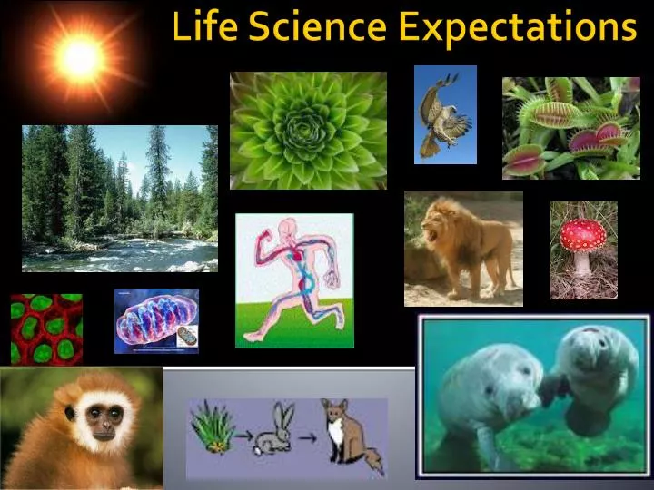 life science expectations