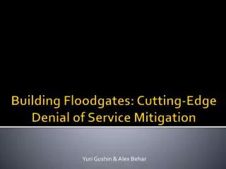 Building Floodgates: Cutting-Edge Denial of Service Mitigation