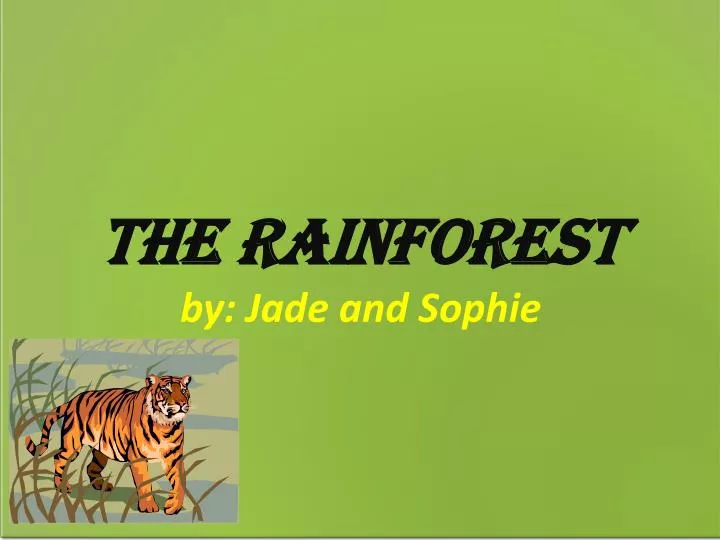 the rainforest by jade and sophie