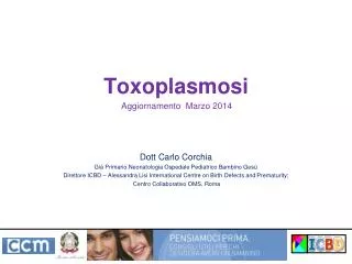 toxoplasmosi