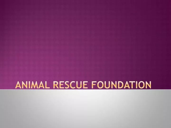 animal rescue foundation