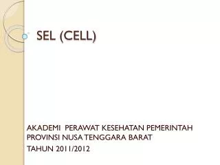 sel cell